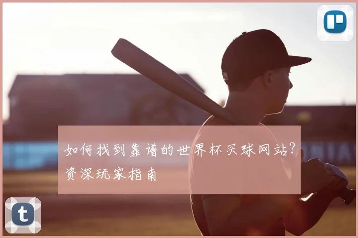 如何找到靠谱的世界杯买球网站？资深玩家指南