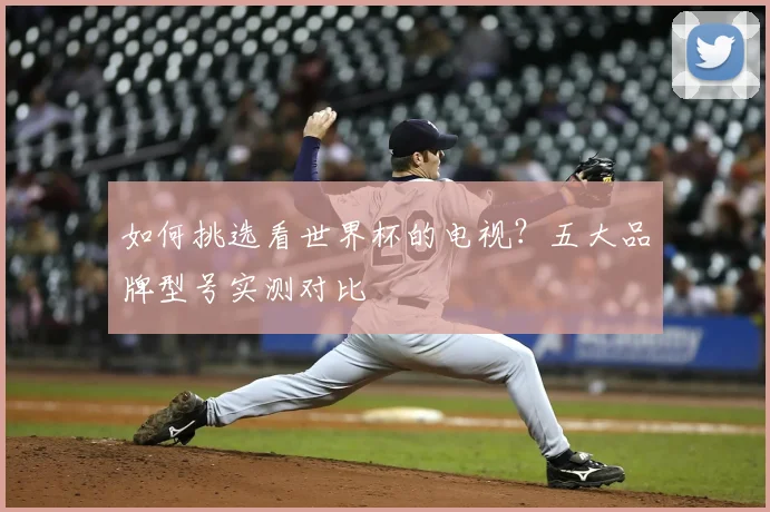 如何挑选看世界杯的电视?五大品牌型号实测对比