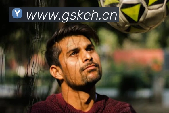 星空体育综合入口平台生态图